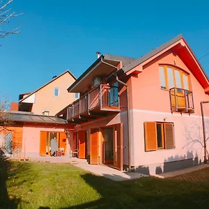 Hostel Buzahouse